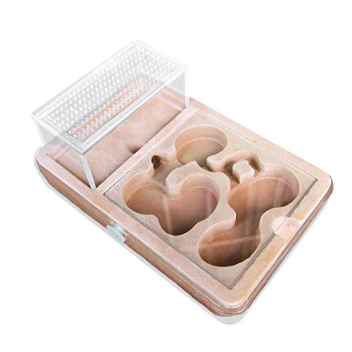 PLAFUETO Large Ant Farm Box Ant Home for Kids Study of Ant Ant Nest Farm Educational Formicarium for Ant