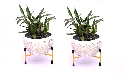 Image of Amazon Brand - Solimo Tripod Stand | Set of 2 | Golden Lining | White, Golden | Iron