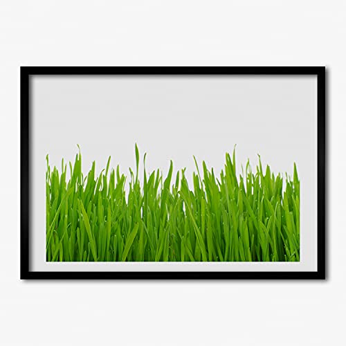 Tableau décoratif moderne herbe de 70x50 cm pour créer une ambiance nature dans votre salon