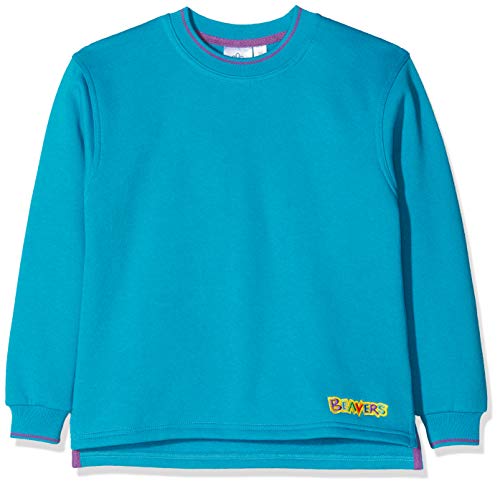 Beaver Tipped Boys Sweatshirt Turquoise 28