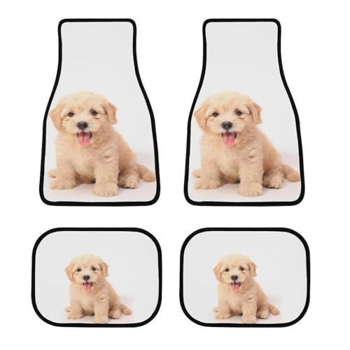 J[}bg S[fgo[ 킢   tA}bg  ԗptA}bg 4_Zbg y/ʎ O2E2 h~ ~ ېOK tȒP J[pi lGʗp