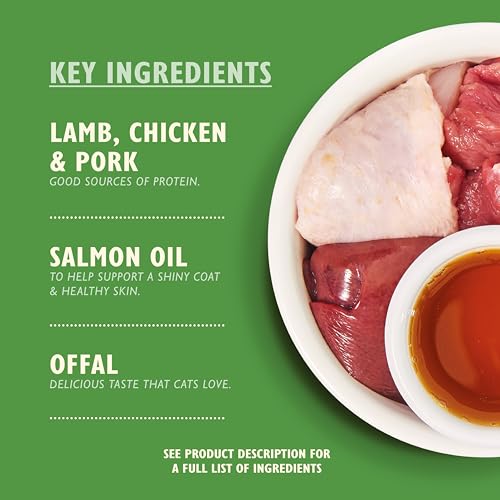 Lily's Kitchen Biologisch Fijne Paté voor Volwassen Katten 19 x dienblad 85g - Kip