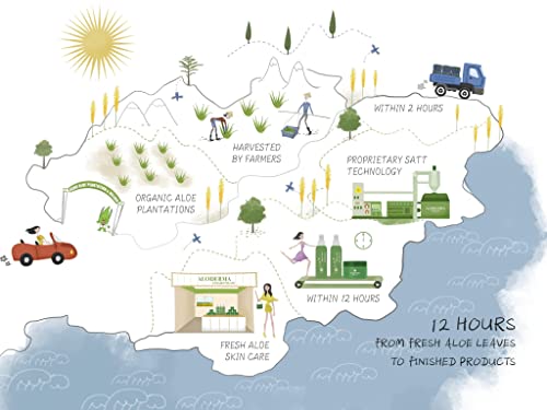 Aloderma 99% Organic Aloe Vera Gel, Bottled Within 12 Hours Of Harvest (300G, 10.6 Oz), No Sticky Residue - No Powder Concentrates Or Water Added - Eco-Friendly #TOP4