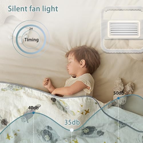 Ventilateur de plafond silencieux à 6 vitesses et éclairage variable
