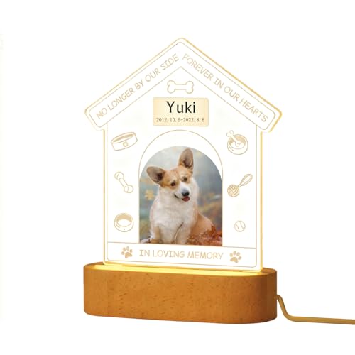 ybg A tHgt[ ʔv tHg L  ʐ^ ʐ^  AObY Wi AN IWi USB led  Mtg e X^ht v[g LO