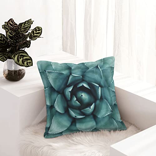 Housses de coussin simili cuir succulentes faciles à nettoyer pour maison