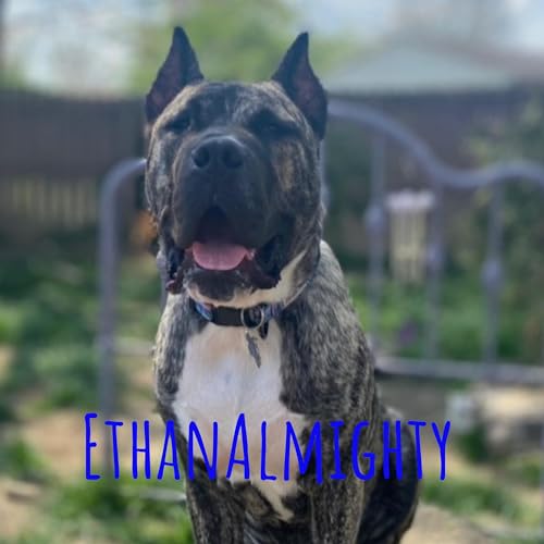 Sharon Miller and Iiken copertina