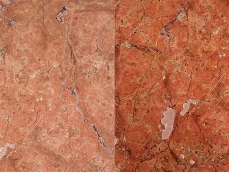 Tenax AGER Color Enhancer 1 Pt.