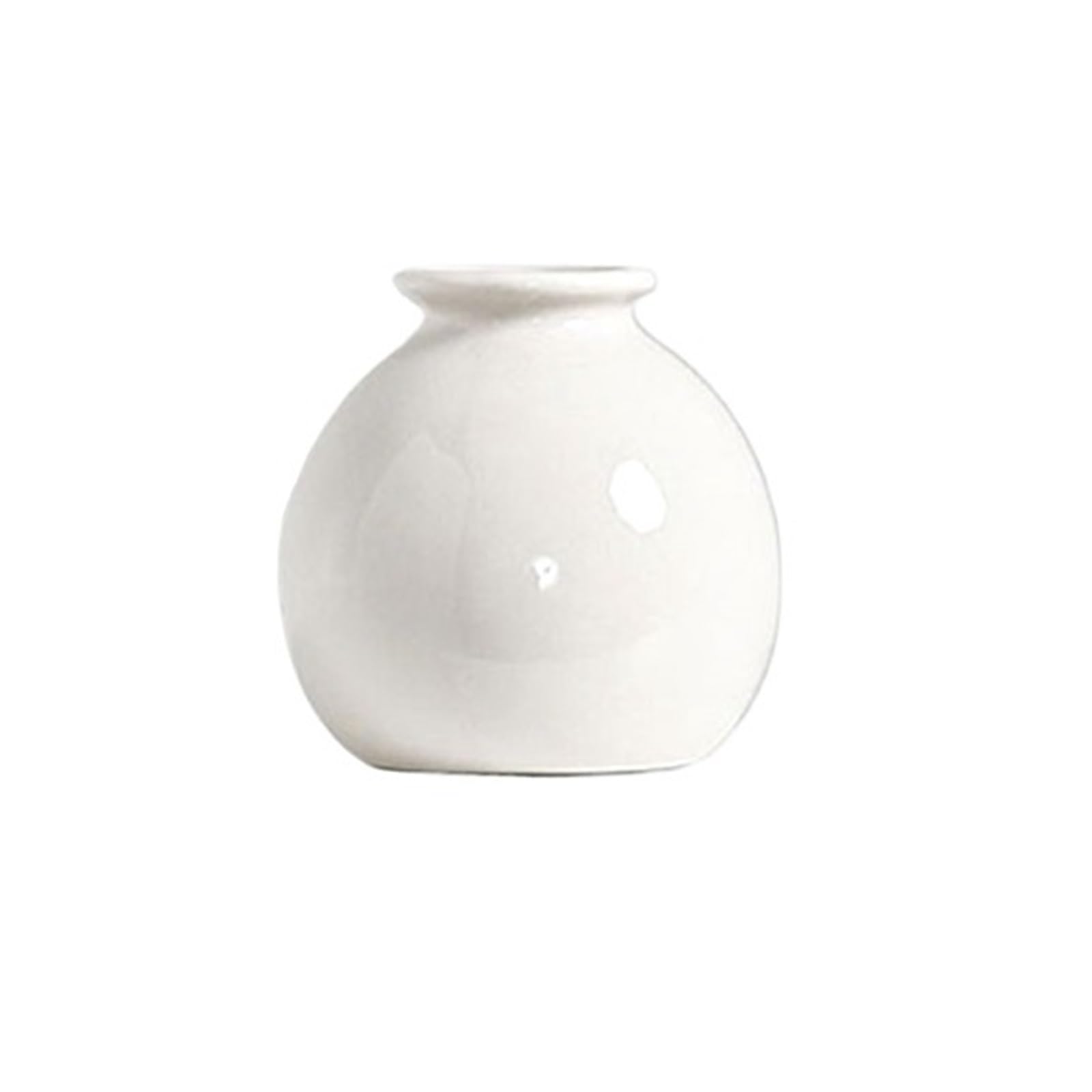 Mini Vase Flower Vase Hydroponics Vases Creative Room Decor Mini Plant Bottle Pots Desktop Ornament Craft(7.27x3.1cm-A)