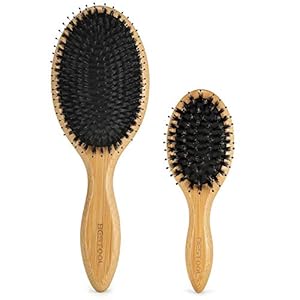 BESTOOL Hair Brush (Regular & Small), Boar Bristle Hair Brushes for Women Men Kids Thick Fine Curly Hair, Hairbrush for Detangling, Soften & Silky Shine