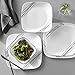 Corelle Vitrelle Glass Dinnerware Set, Chip & Crack Resistant Triple Layer Glass, 4-PC Bowl, Simple Sketch