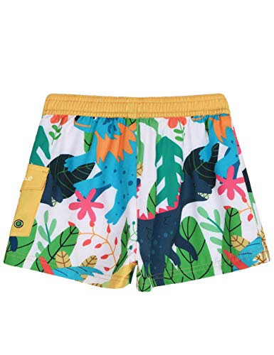 Image of Nonwe Men's Beachwear Quick Dry Striped Board Shorts