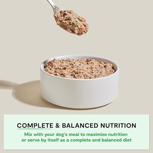 Open Farm Rustic Stews Wet Dog Food, Grain-Free, Complete & Balanced with Human-Grade Ingredients, Humanely-Raised Meat & Bone Broth, Grass-Fed Beef Recipe, 12.5oz Packs (Case of 12) - 1