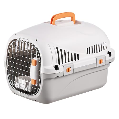 yoWuhzIATANA ybgL[ [4dbNŔяoh~] nEXɂȂ݌v [ЊQ̔ɂ] Lp N[g n[h^Cv (O[, X^_[h^Cv)