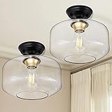 2-Pack Ceiling Light Fixtures, Black Flush Mount Light Fixture, Farmhouse Light Fixtures with Clear...
