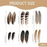 TYEQWT 12 sztuk piór do majsterkowania, zestaw 10-23 cm, pióra do majsterkowania, do łapaczy snów, opasek do włosów, kapelusza, gumek do włosów, kostiumu, dekoracji stołu, dekoracji domu, w stylu boho