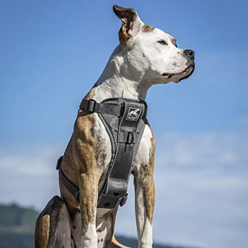 Kurgo TRU-Fit Smart Dog Walking Harness – Bequeme Passform – verstellbares Geschirr – reflektierende Haustierkleidung – Schnellverschluss – Zubehör für den täglichen Spaziergang – inklusive
