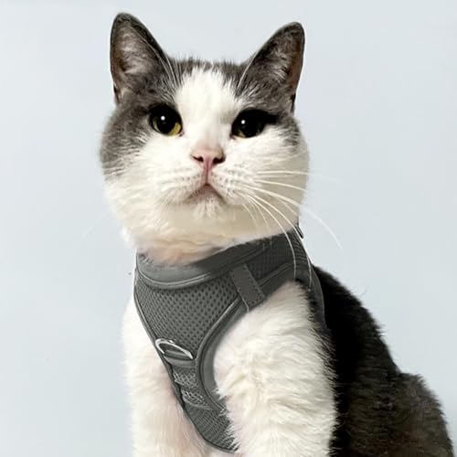 Joytale Step in Dog Harness,Soft Mesh Reflective Breathable Vest Harnesses,Easy Walk Harness with Safety Buckle for Cat,Puppies and Extra Small Dogs,XXS,Gray - Image 2