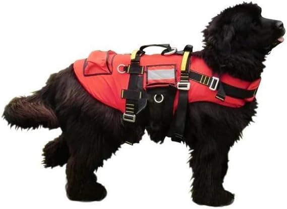 Kong Delphinus Floating Dog Harness, Professional Water Rescue and Boat Safety Harness with Aluminum Rings, Handles, and Buoyancy Aid, Available in 3 Sizes, Made in Italy (Red, SM)