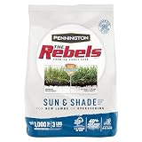 Pennington The Rebels Sun and Shade Grass Seed Mix 3 Pounds