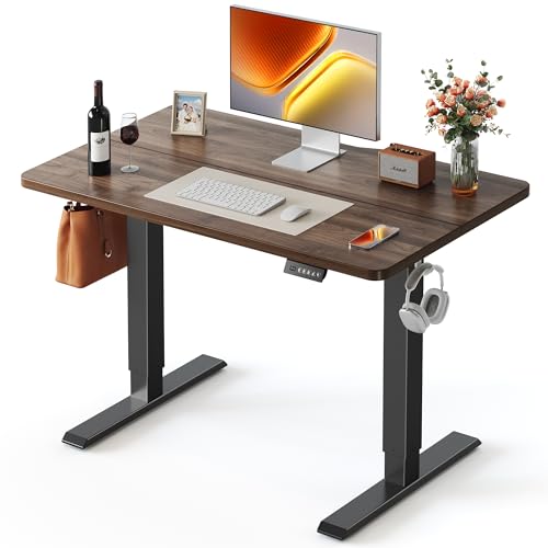 Fezibo 40x24 Dual Motor Standing Desk