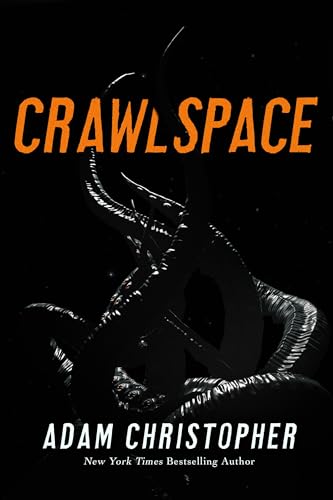Crawlspace