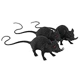 Sie können mit Ihrer Katze spielen, was die Beziehung zwischen Ihnen und Ihrem Haustier stärkt und sie dazu bringt, Ihnen mehr zu glauben.