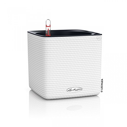Lechuza – Pot de Fleurs d’Extérieur et d'Interieur – Cube Color – Réserve d'Eau Intégrée – Coloris Blanc – 17 x 17 x 16 cm