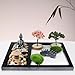 SUQ Jardin Miniatura Jardin Accesorios Imagen de SUQ Jardin Miniatura Jardin Accesorios
