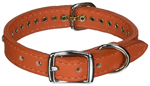 Image of Signature Leather Crystal Dog Collar, Orange Solid Grain Leather, Fits 7.5 inch-9.5 inch Neck Size, 12 inch Overall Length