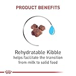 Royal Canin Feline Health Nutrition Mother & Babycat Dry Cat Food for Newborn Kittens and Pregnant or Nursing Cats, 6 lb bag - Image 4