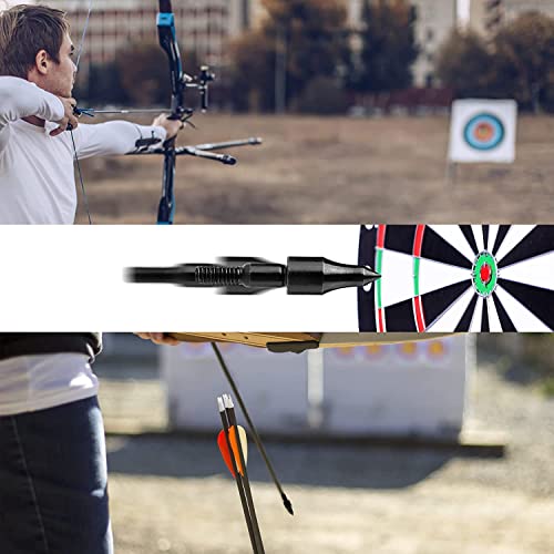 Jiakai 12 Piece Black Screw-In Archery Bullet Points Arrow For Field Target Practice Shooting,100 Grain Each #TOP3