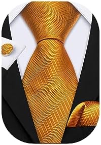 Barry.Wang Formal Men Ties,Silk Necktie Set with Handkerchief Cufflink Wedding Business