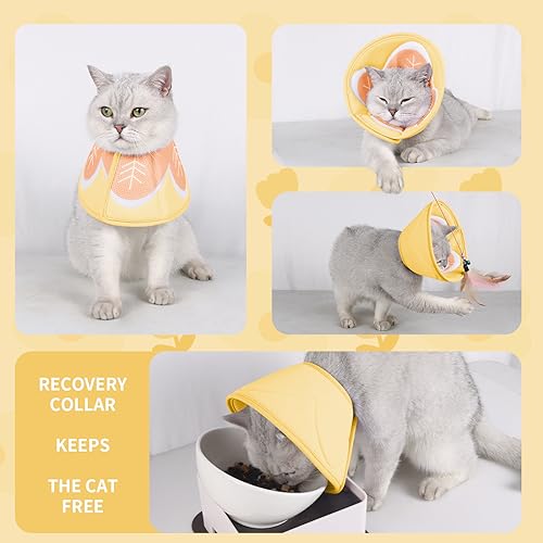 Image of Soft Cat Recovery Collar, Adjustable Cone After Surgery for Kittens, Yellow, M