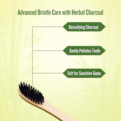 Image of Bamboo Toothbrush with Activated Charcoal BPA-Free Soft Bristles (Pack of 1), 100% Natural, Eco-Friendly and Biodegradable Handle