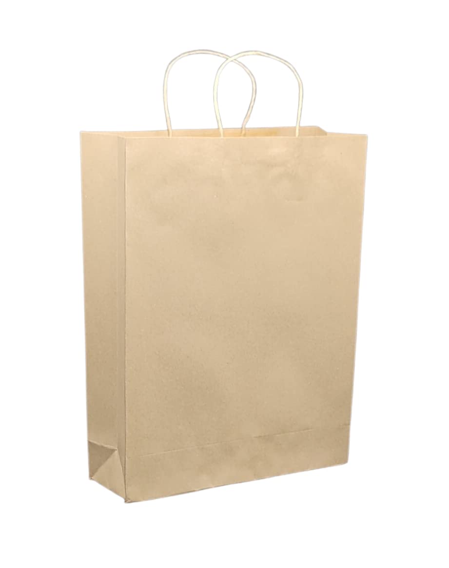 TASCHE Brown Kraft Big Paper Bags Twisted Paper Handles it is Gifting or Thank You Bags for Return Gift Shopping Cloths Veggies Packing Capacity (16 * 12 * 4 Inches) (Brown) (Pack of 60) (B0BXLQL6XH) Amazon Price History, Amazon Price Tracker