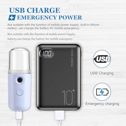 SAFIGLE 2 Stück Nano Gesichtsdampfer：Tragbar Mini Gesicht Nebeldampfer Hand Gesichtsdampfer mit USB-Ladefunktion - Feuchtigkeitsspendend für Hautpflege, Wimpernverlängerung, Make-up（Blau+Rosa）