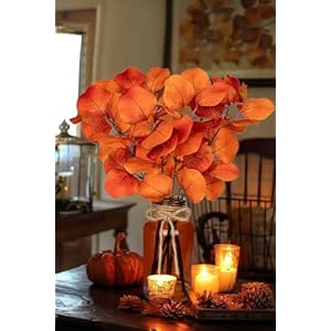 Briful Artificial Eucalyptus Stems in Amber Glass Vase with Faux Water, 14" Fake Fall Plant Autumn Eucalyptus Leaves for Home Farmhouse Wedding Centerpiece Bathroom Décor Briful Artificial Eucalyptus Stems in Amber Glass Vase with Faux Water 14 Fake Fall Plant Autumn Eucalyptus Leaves for Home Farmhouse Wedding Centerpiece Bathroom Decor