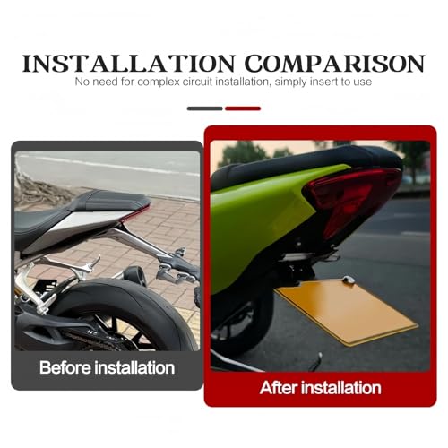 Support de plaque d'immatriculation Speed Triple 1200 RS cadre arrière