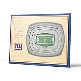 YouTheFan NFL 5-Layer 17 x 13 StadiumViews 3D Wall Art, One Size, New York Giants