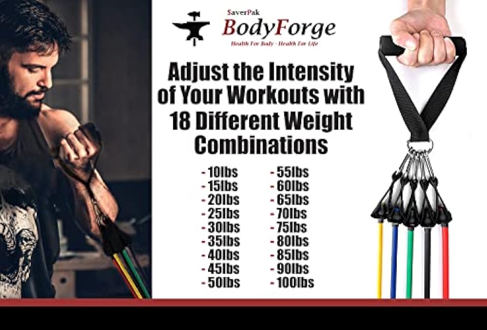 BodyForge Resistance Bands, Exercise Bands£¬Resistance Bands for Working Out, Work Out Bands with Handles for Men and Women Fitness, Strength Training Home Gym Equipment