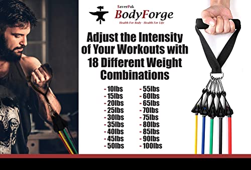 BodyForge-Eco-Friendly-Tube-Resistance-Exercise-Bands-Set