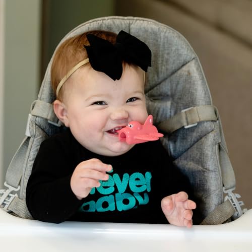 Image of Teether & Medicine Dispenser Duo, Dream