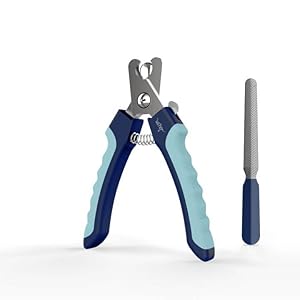 WePet Dog Nail Clippers U10.1, Dog Nail Trimmer Large Breed with Quick Sensor, Razor Sharp Blade Professional Pet Nail Clipper with Safety Guard and Nail File, Pale Turquoise