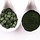 Carefood - Bio Chlorella - Superfood mit 300 Tabletten 100% Bio für 100 Tage - Micro Chlorella Algen Ökologisch - Für Veganer - 100% Chlorella Pyrenoidosa Reich an Pflanzlichen Ballaststoffen - 120 g