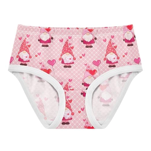 Joisal Cute Valentine Gnomes Pink Girl Panties Cute Toddler Girls Underwear Cotton Funny Underpants Briefs 2t
