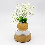 Levitation Wooden Bonsai Pot for Home and Office Decorations-Creative Prsent Floating air Bonsai