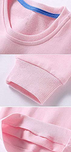 Image of HAXICO Unisex Kids Solid Cotton Thin Pullover Sweatshirt T-Shirt Toddler Baby Crewneck Long Sleeve Tshirts Tops Blouse