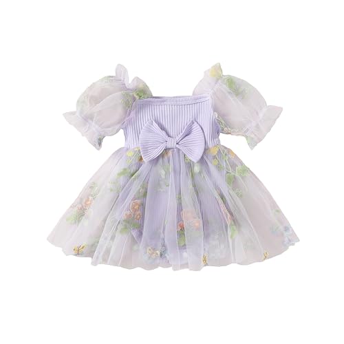 Image of BemeyourBBs Newborn Baby Girl Clothes Ruffle Romper Dress Flower Embroidery Tulle Headband Cute Spring Summer Outfit