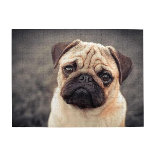 ^pO ؐWO\[pY 52cm×38cm m]`W lq yQ[ Ǌ|  aMtg 500 s[X